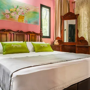 Ayenda Habana Vieja 1221 Hotel